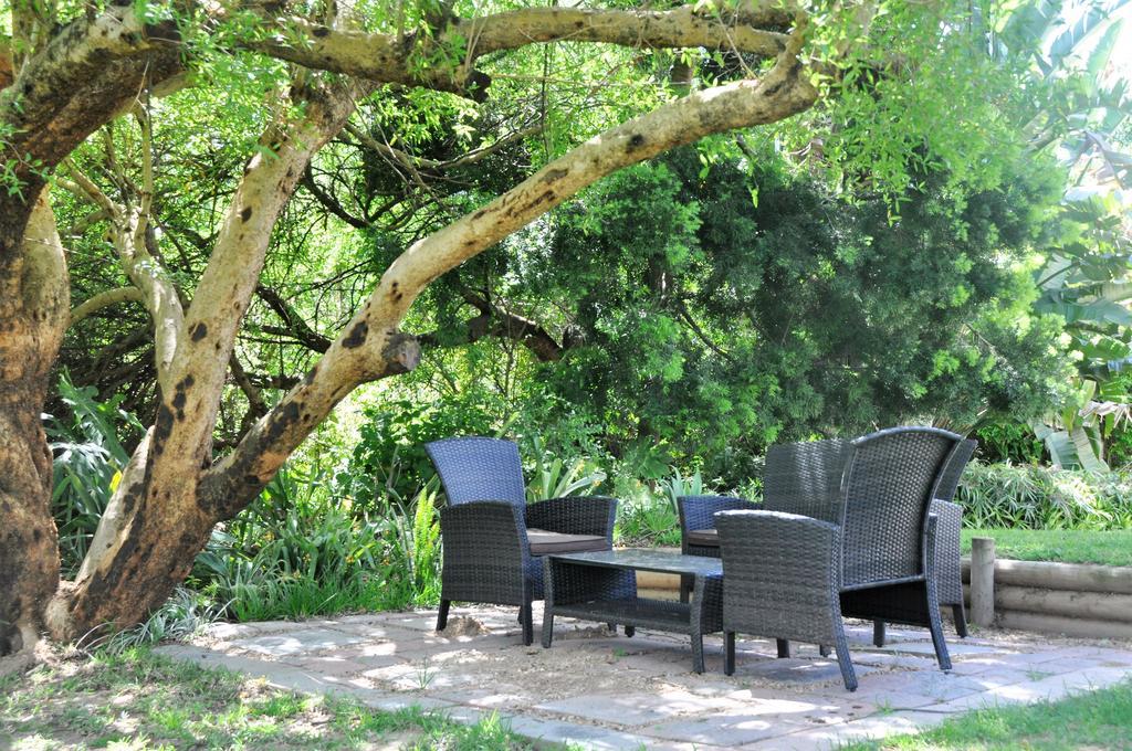 Umlambo River Lodge Kirkwood Eksteriør billede