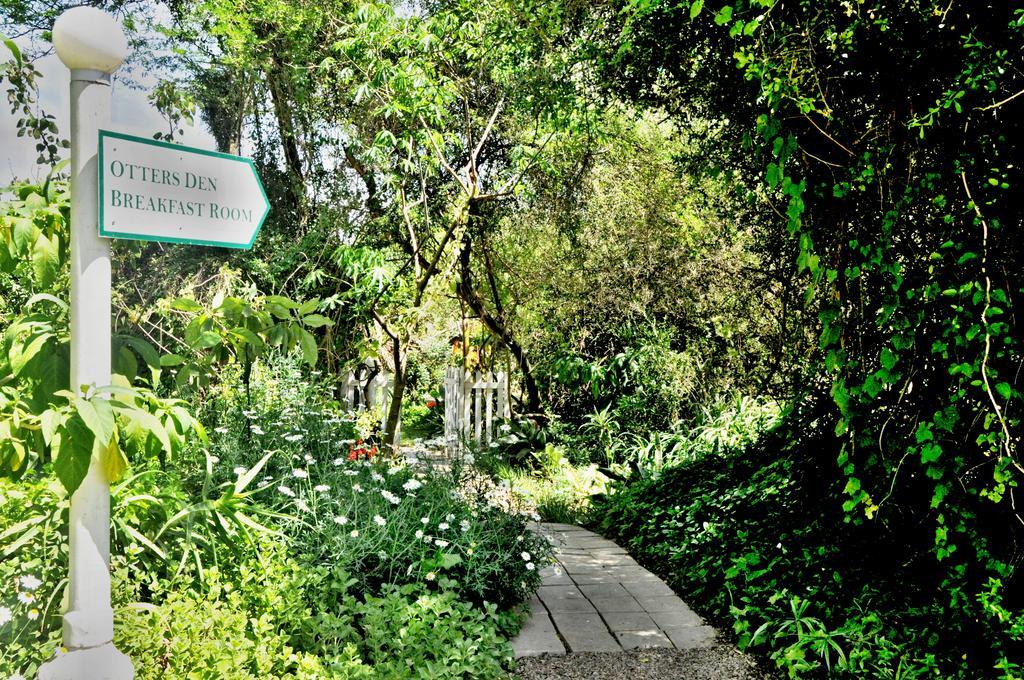 Umlambo River Lodge Kirkwood Eksteriør billede