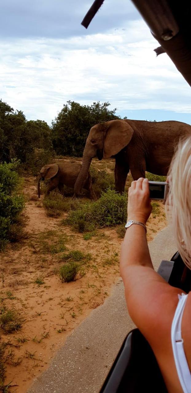 Umlambo River Lodge Kirkwood Eksteriør billede