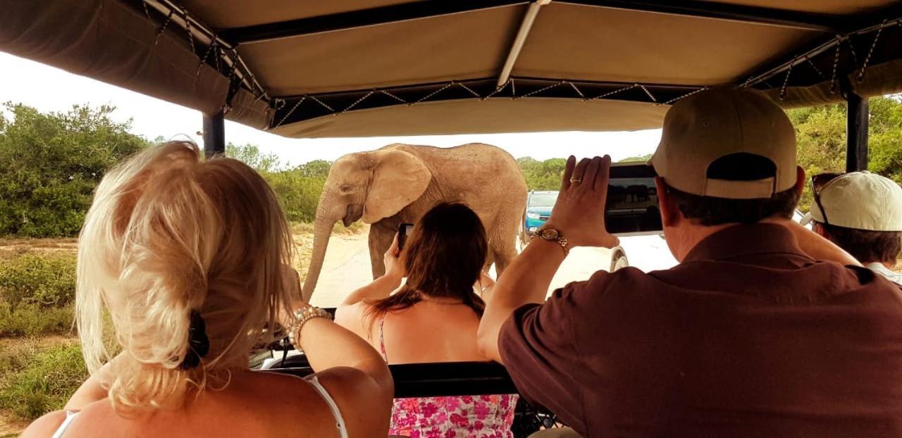 Umlambo River Lodge Kirkwood Eksteriør billede