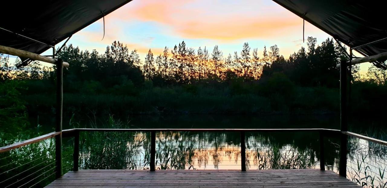 Umlambo River Lodge Kirkwood Eksteriør billede